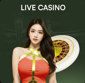 金刚赚钱app下载